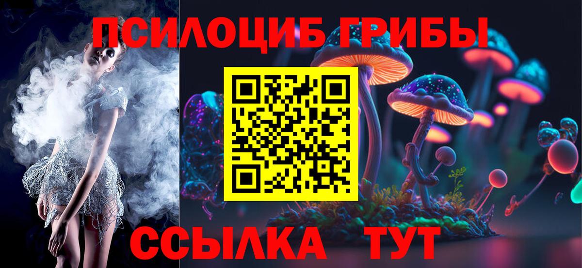 Старая Купавна  Псилоцибиновые грибы Magic Shrooms  Вход с VPN 